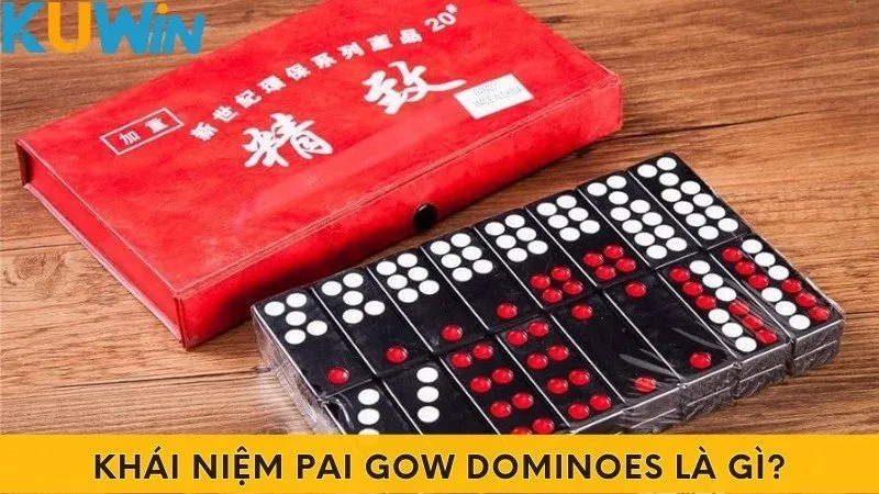 Khái niệm Pai Gow Dominoes là gì?